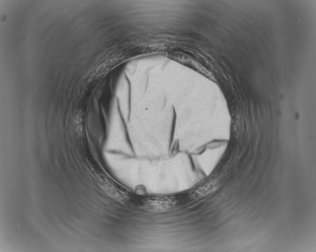 X0000068750466200605191603