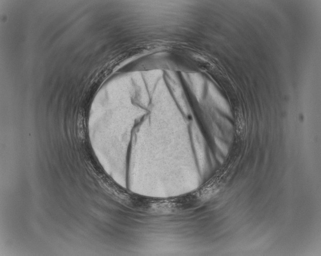 X0000068750470200605191603
