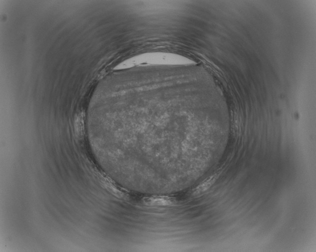 X0000068750475200605191603