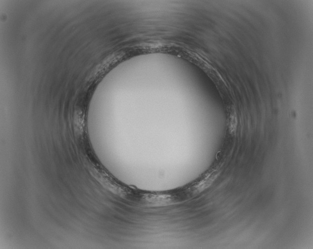 X0000068750476200605191603