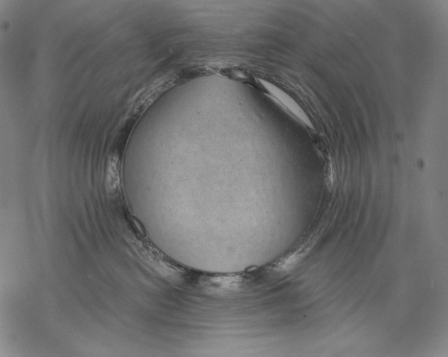 X0000068750478200605191603