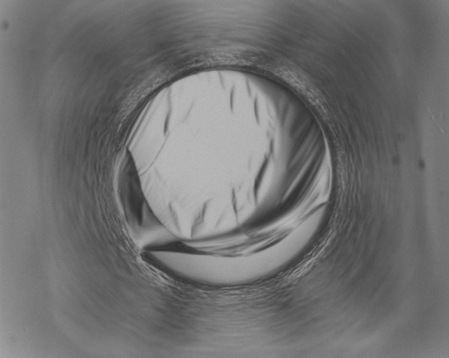 X0000068750481200605191602