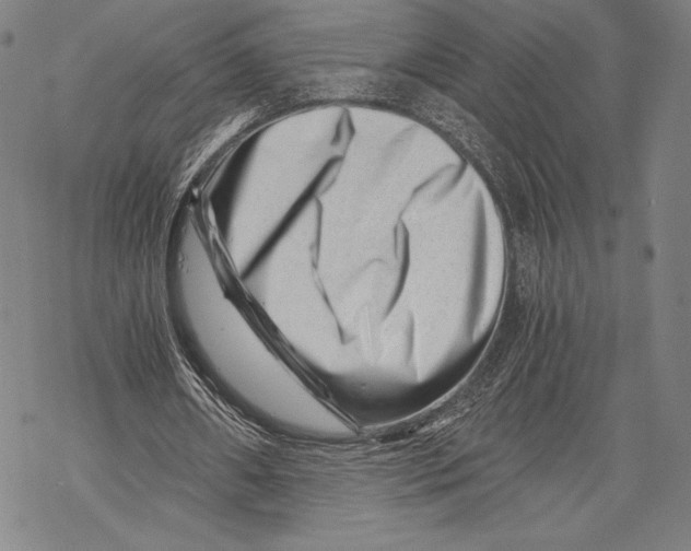 X0000068750482200605191602