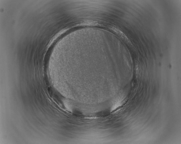X0000068750484200605191602