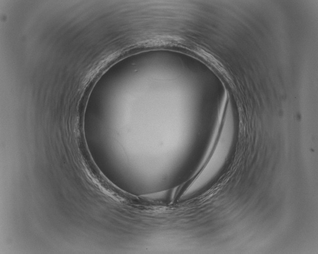 X0000068750485200605191602