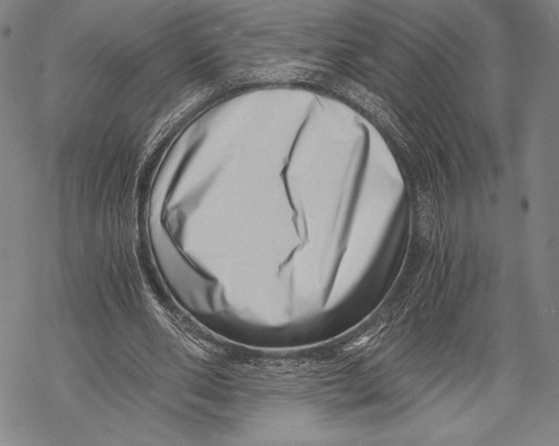 X0000068750486200605191602