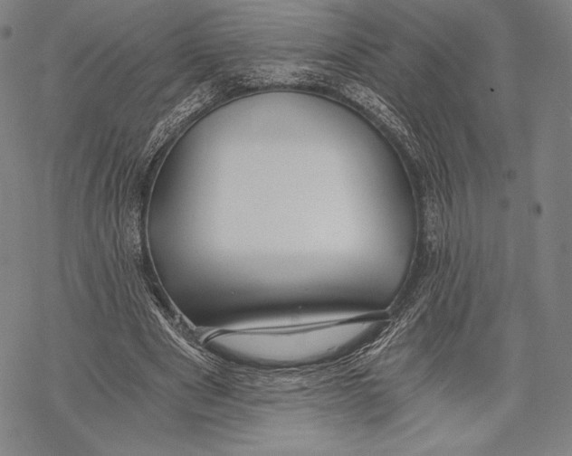 X0000068750489200605191602