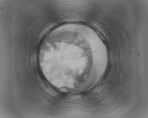 X0000068750491200605191602