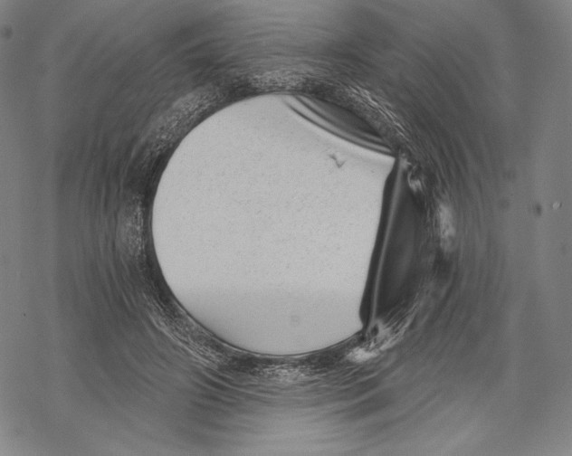 X0000068750498200605191602