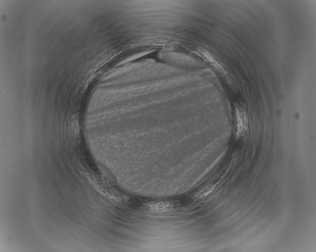 X0000068750500200605191602