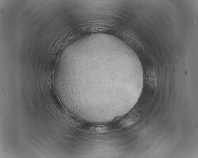 X0000068750506200605191602