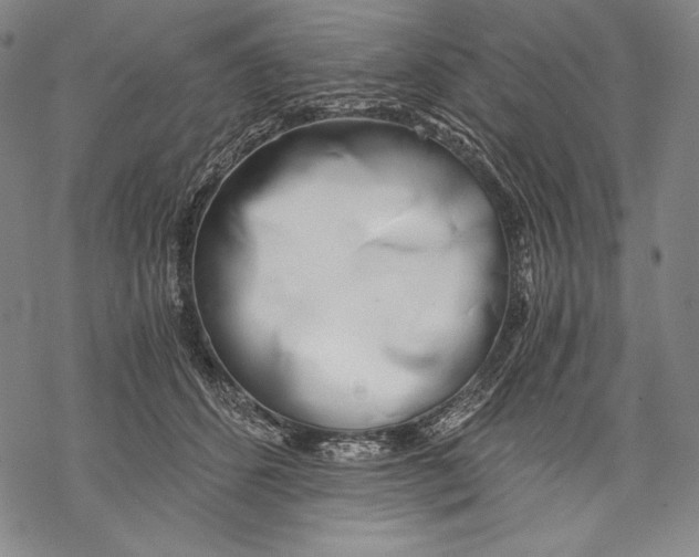 X0000068750512200605191602