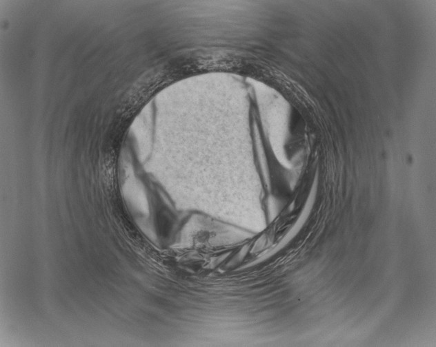 X0000068750513200605191602