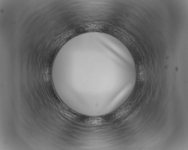X0000068750514200605191602