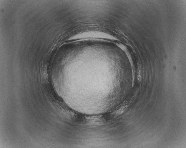 X0000068750516200605191602