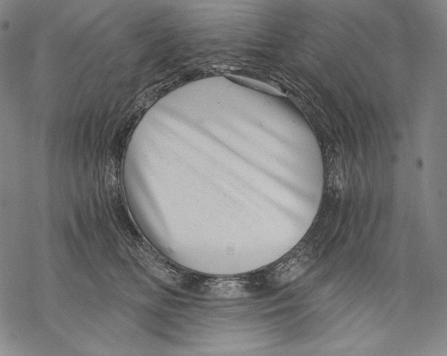 X0000068750518200605191602