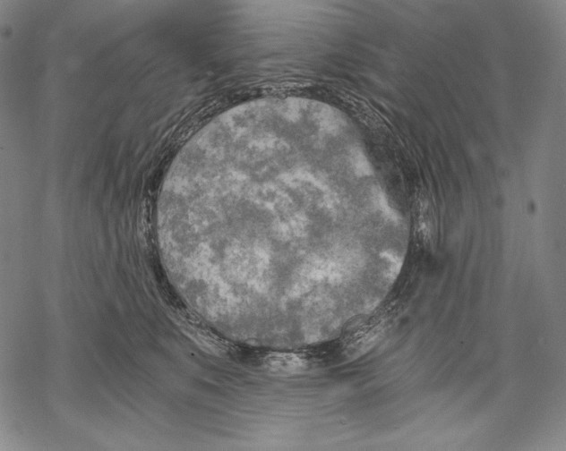 X0000068750519200605191602