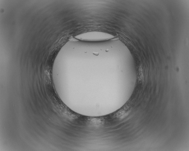 X0000068750522200605191601