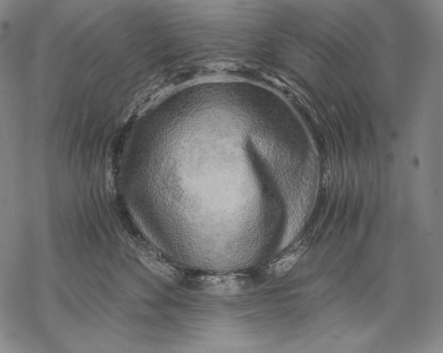 X0000068750524200605191601