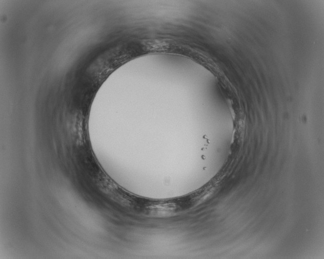X0000068750525200605191601