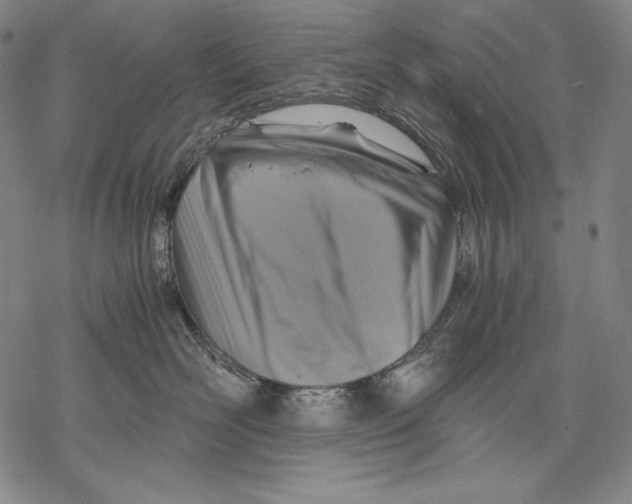 X0000068750526200605191601