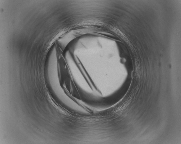 X0000068750530200605191601