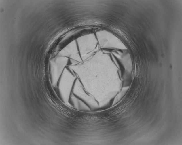 X0000068750531200605191601