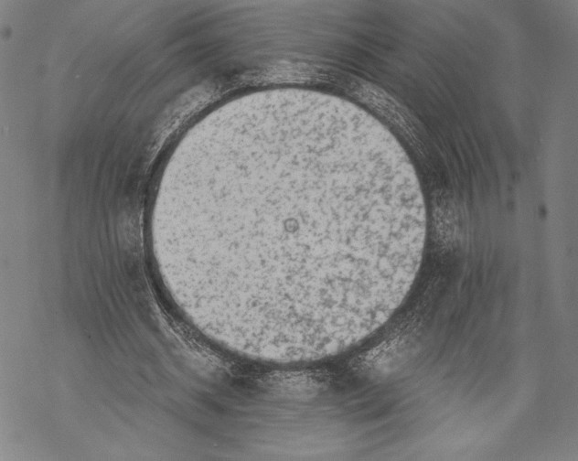 X0000068750534200605191601