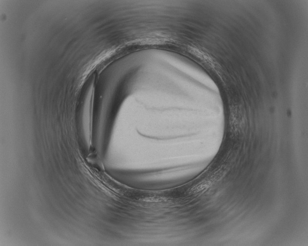 X0000068750535200605191601