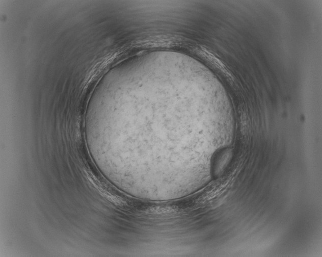 X0000068750537200605191601
