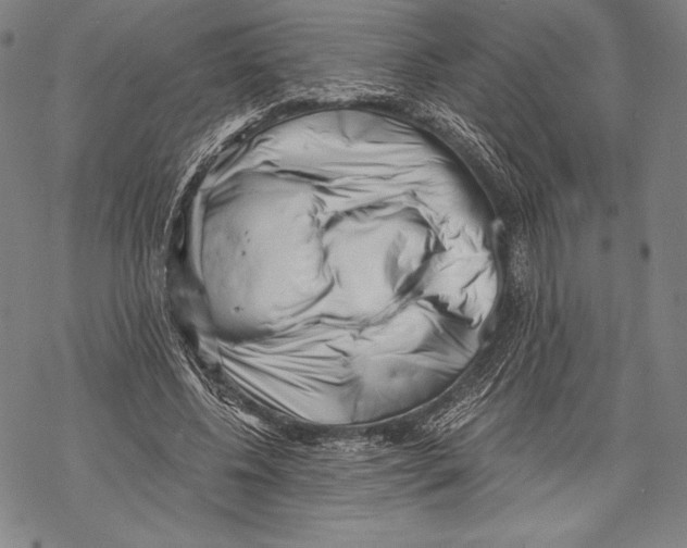 X0000068750540200605191601