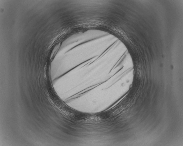 X0000068750543200605191601