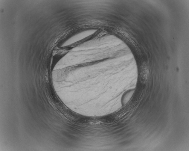 X0000068750547200605191601