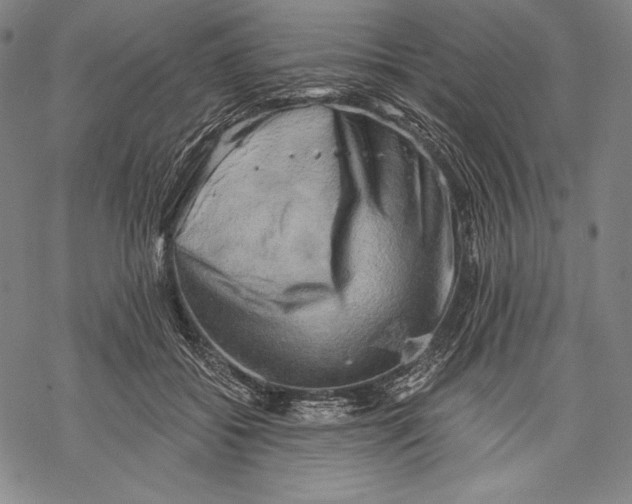 X0000068750556200605191601