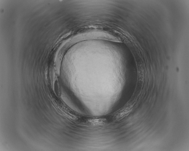 X0000068750558200605191601