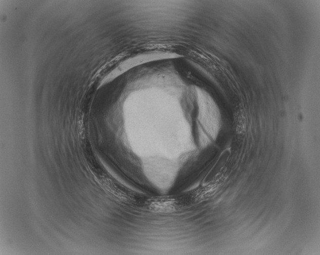 X0000068750560200605191601