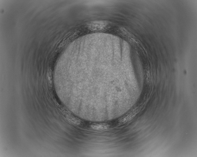 X0000068750561200605191601