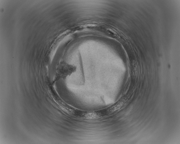 X0000068750562200605191601
