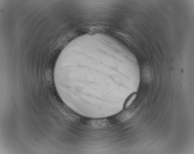 X0000068750571200605191601