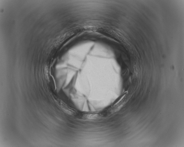 X0000068750575200605191601