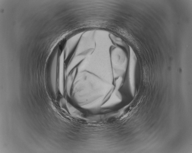 X0000068750580200605191601