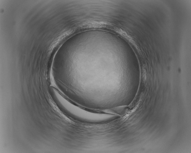 X0000068750581200605191601