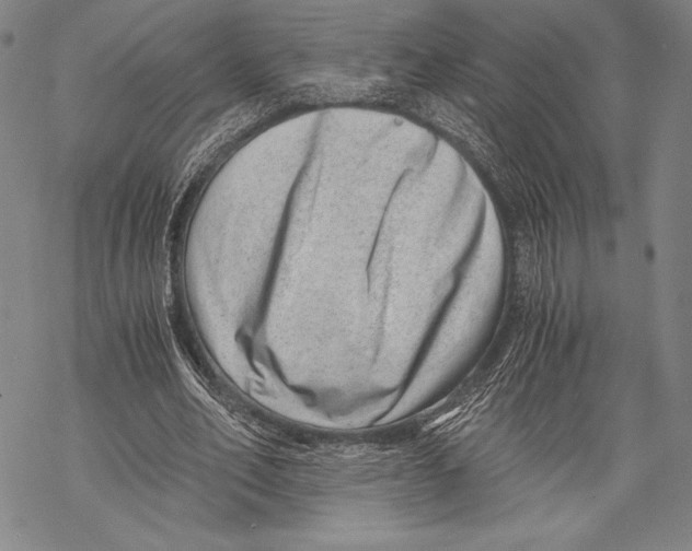 X0000068750582200605191601