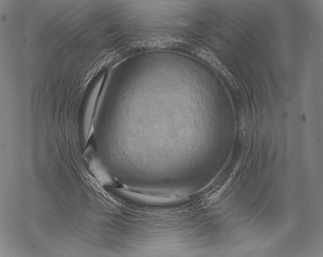 X0000068750585200605191600