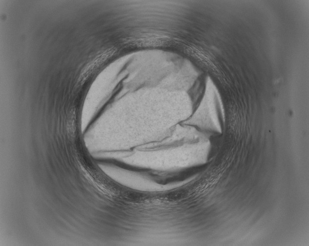 X0000068750586200605191600