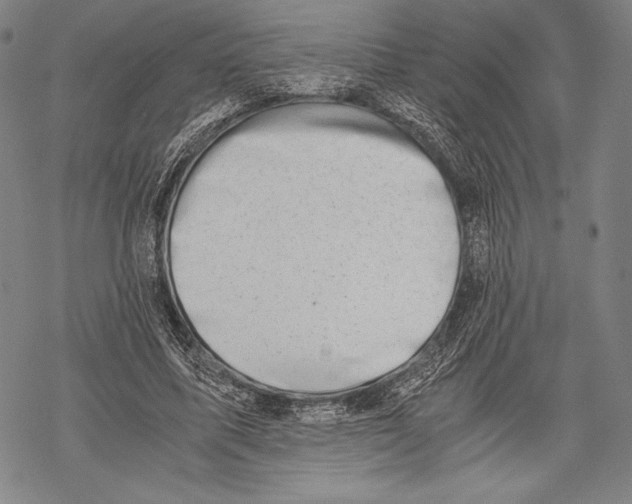 X0000068750587200605191600