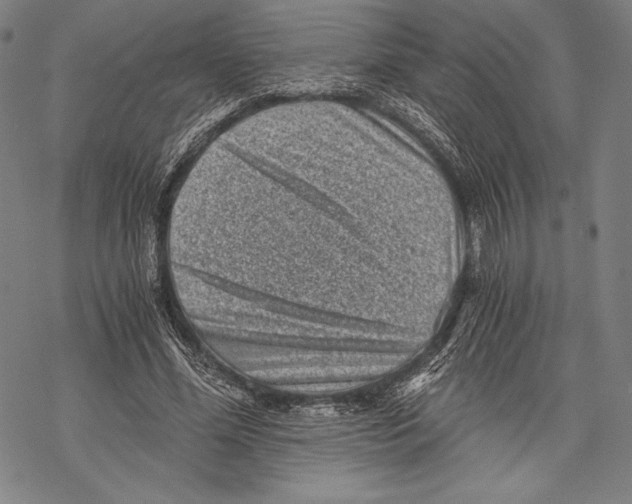 X0000068750588200605191600