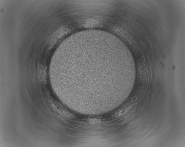 X0000068750592200605191600