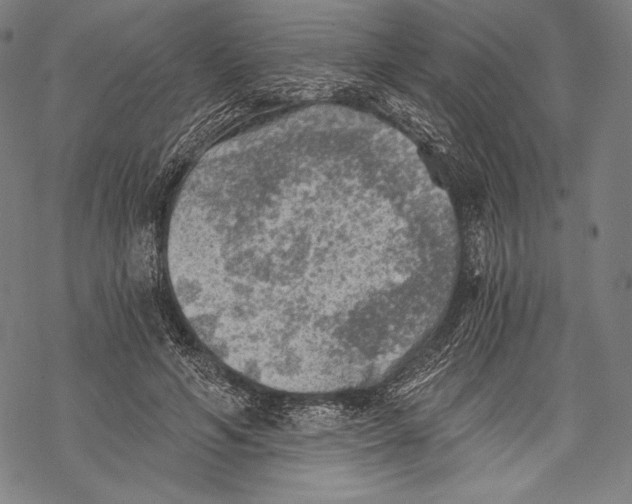 X0000068750594200605191600