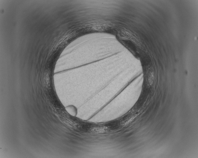 X0000068750595200605191600